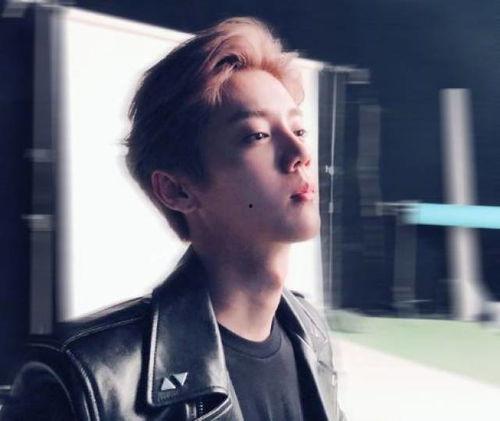 鹿晗娱乐吃瓜,幕后故事与精彩瞬间 第1张 鹿晗娱乐吃瓜,幕后故事与精彩瞬间 第1张