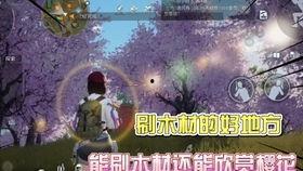 黎明觉醒最新典藏爆料,典藏爆料揭秘,全新篇章即将开启! 第2张 黎明觉醒最新典藏爆料,典藏爆料揭秘,全新篇章即将开启! 第2张