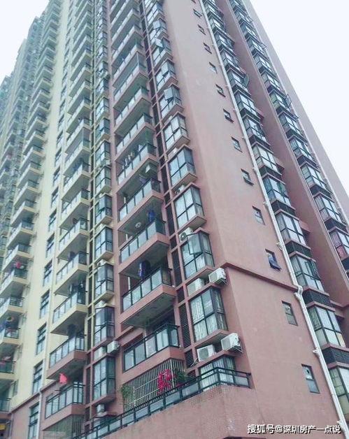 深圳胡先生最新爆料,揭秘事件背后惊人真相 第2张 深圳胡先生最新爆料,揭秘事件背后惊人真相 第2张